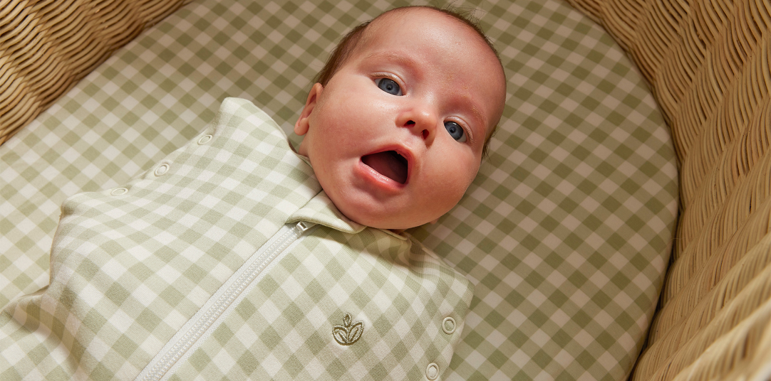 Baby Swaddle Bags for Infants & Newborns by Grow Kindly