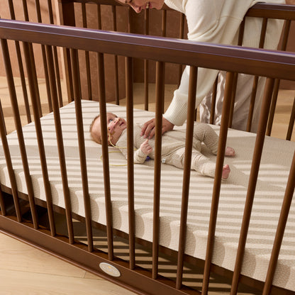 Ollie Sustainable Timber Cot in Walnut