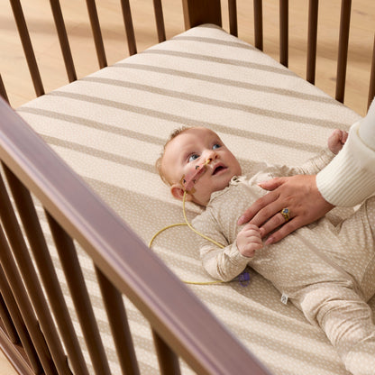 Ollie Sustainable Timber Cot in Walnut